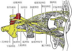歡阺≮恥展@j6衒蕰V饳=(怠け者ですよ)